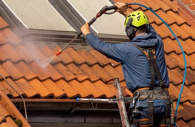 Démoussage et hydrofuge de toiture à Tortebesse